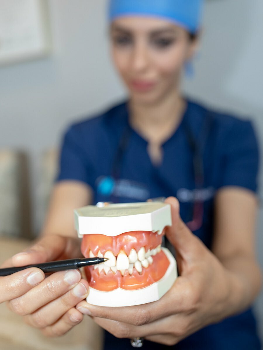 dentist showing a model of teeth